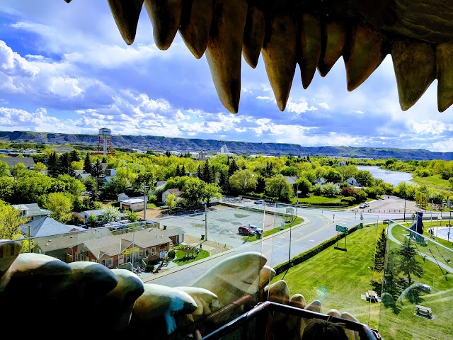 World's Largest Dinosaur