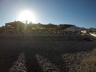 Photos of Hala Camp
