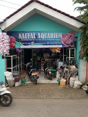 Naufal Aquarium Cilodong, Author: endra Novi