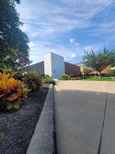 Swirbul Library