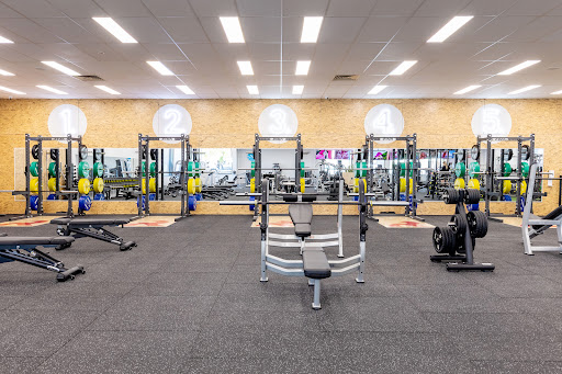 Revo Fitness - Belmont
