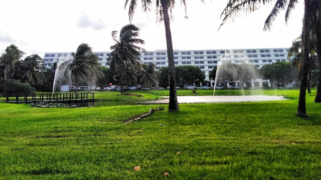 Playa Delfines