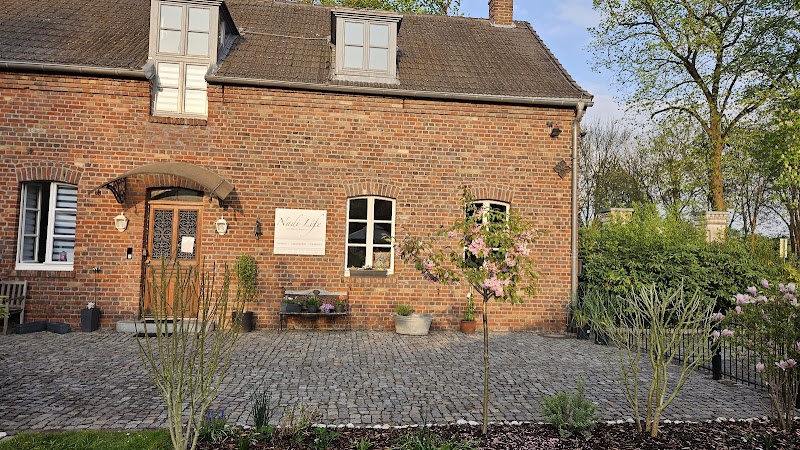 Nadi Life - Praxis Passura