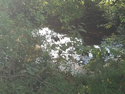 Pistol Creek Wetland Center