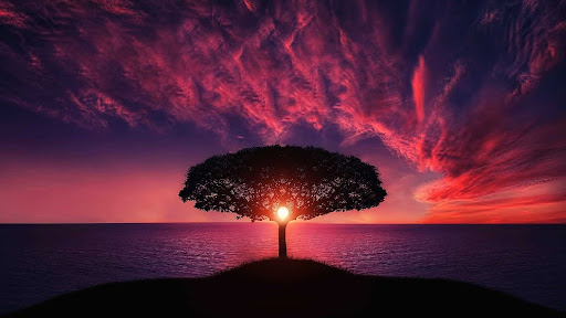 Therapeutic Serenity Massage