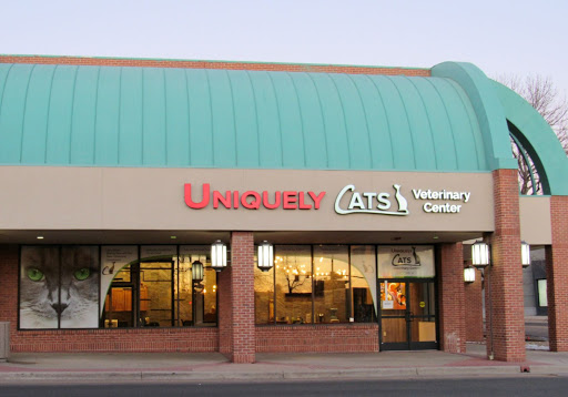 Uniquely Cats Veterinary Center - Thumbnail