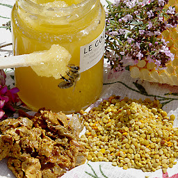 Photo n°4 de le jardin bleu à Die (Miellerie)