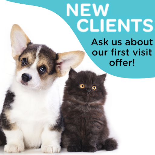Aldergrove Animal Hospital