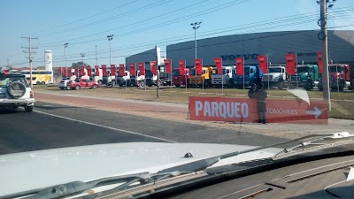 car-dealer