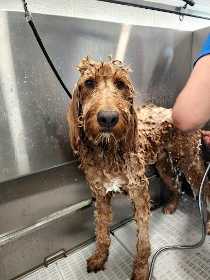 Fluff ‘n’ Buff Dog Grooming