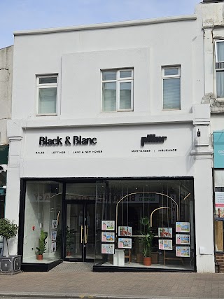 Pillar Finance