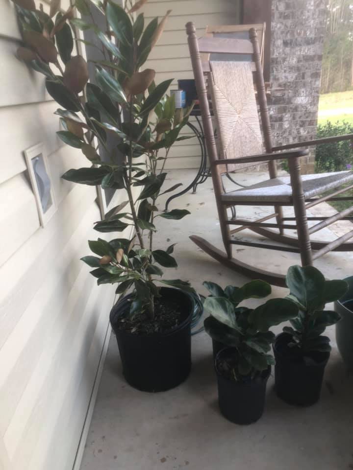 K & B Farm and Garden