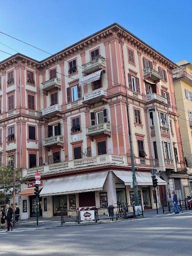 Vigevanese - Visual