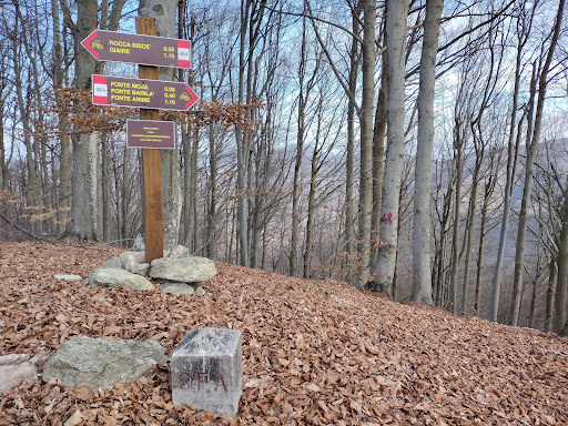 Monte Merlo - Visual