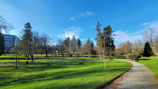 Wright Park - Visual