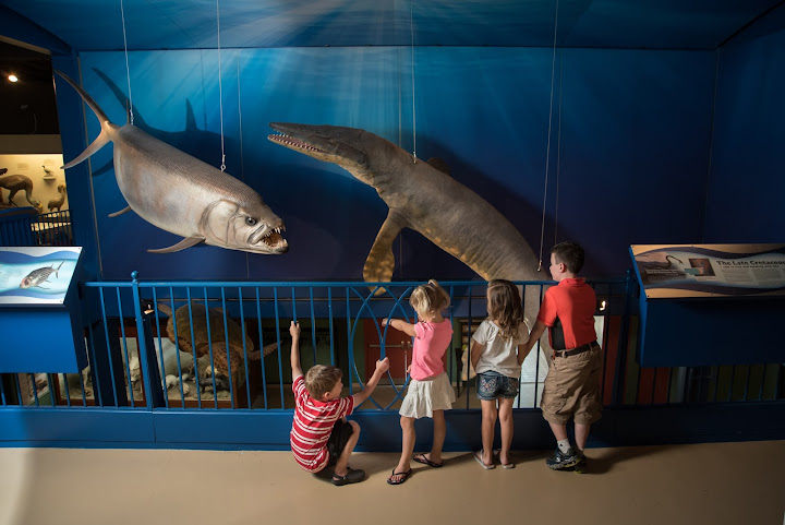 Hastings Museum by null