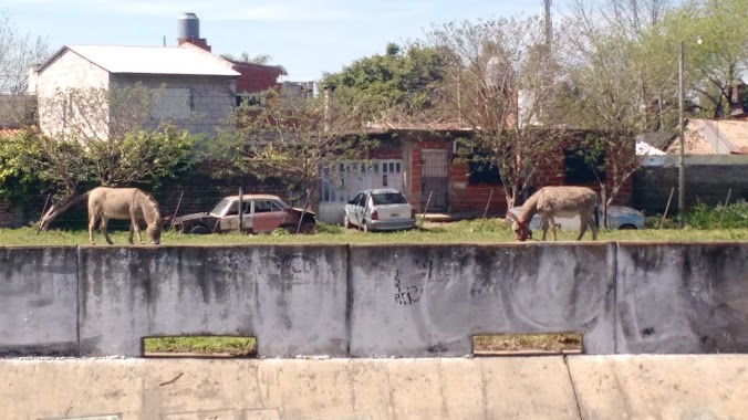 Parque Municipal Lomas de Zamora, Author: Marcelo Jacquet