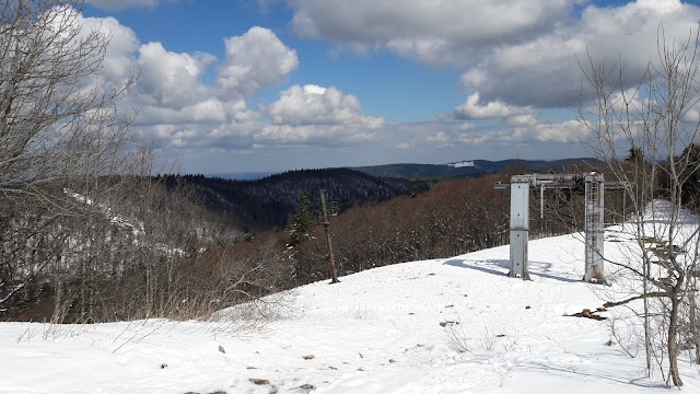 Jardin d'altitude du Haut Chitelet