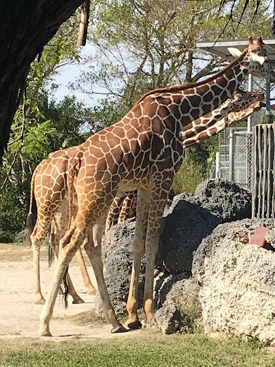 Miami Metro Zoo