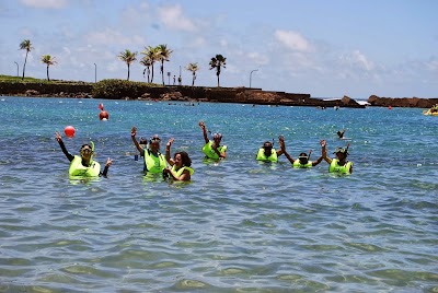 Photos of Scuba Dogs at Escambr&oacute;n Marine Park