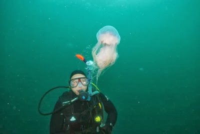 Photos of Waterworld Dive Centre
