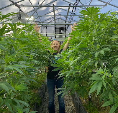 Photo of 4 Corners Cannabis CBD