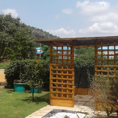 Photos of The Pool House