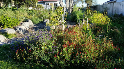 Go Green Landscaping NZ