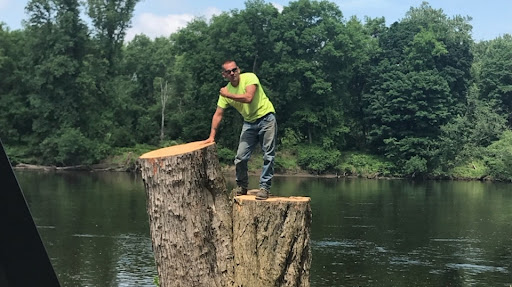 Done Right Tree Service llc - Thumbnail