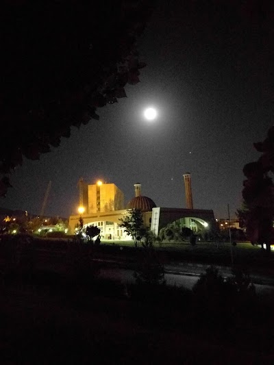 Photos of Shiraz University Mosque