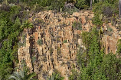 Photos of La Campana National Park