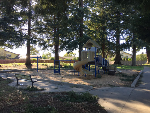 Solomon Park - Thumbnail