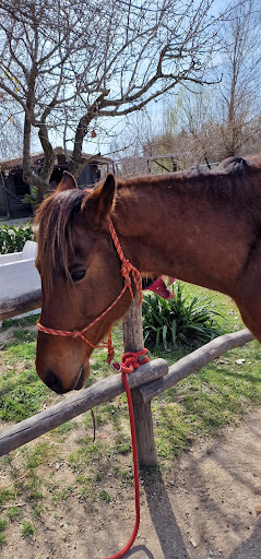 San Fantino Ranch - Thumbnail