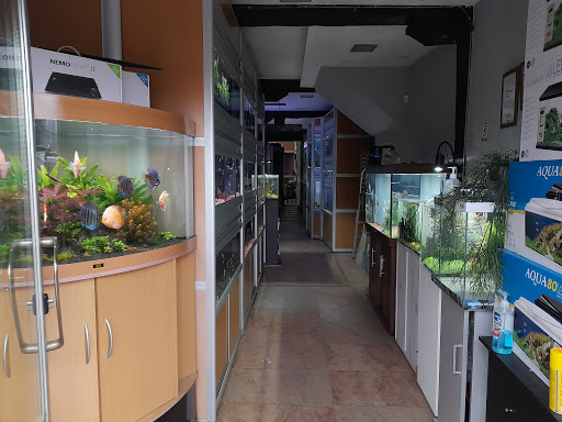 BizkaiTropik - Tienda de peces y acuarios