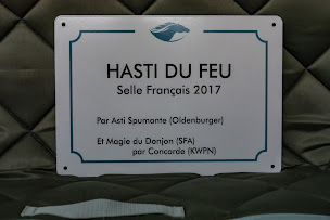 Photo n°8 de Anaïs France à Port (Magasin de trophées)