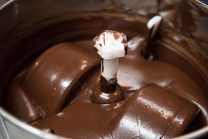 Exquisito Chocolates by null