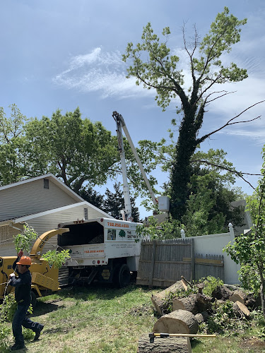 The Brothers Landscaping and Tree Service