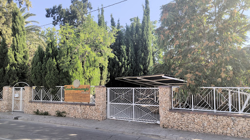 Cuatronaranjos Murcia Active School - Thumbnail