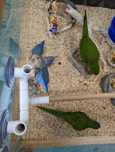 Whalton's Pet Shop - Thumbnail