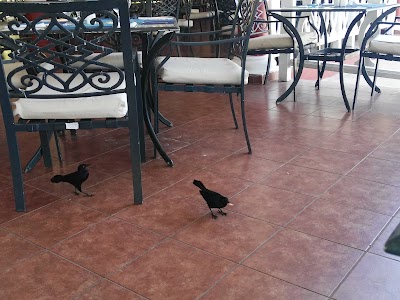 Photos of Pueblo la Estrella