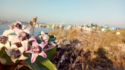 Photos of Wisata Bumi Lamongan Sejati