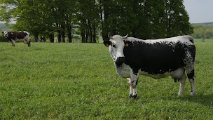 Photo n°1 de Ferme de Didou à Beaupont (Ferme bio)