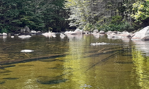 Camping Lake Small Batiscan - Thumbnail