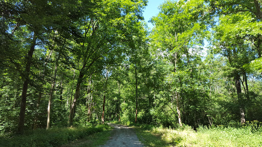 Park Schwansee - Visual