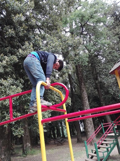 Photos of Guillermo Harnecker Park