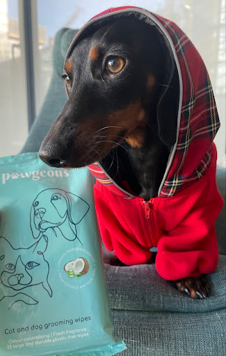 Pawgeous Dog & Cat Wipes - Thumbnail