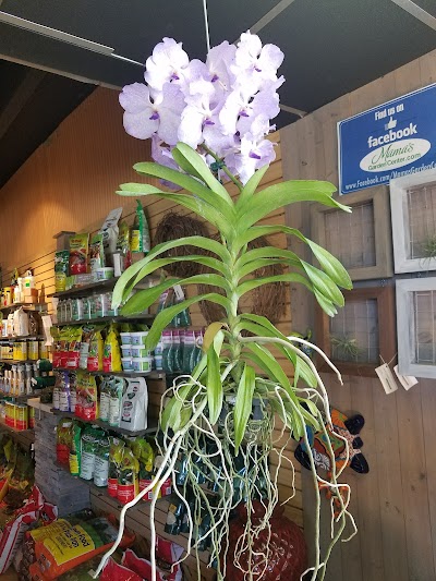 Photos of Mama's Garden Center