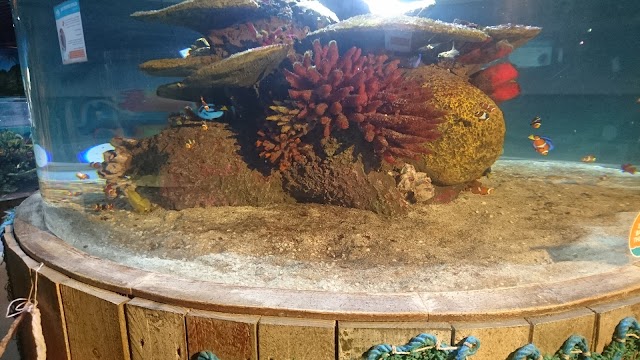 Exploris Aquarium