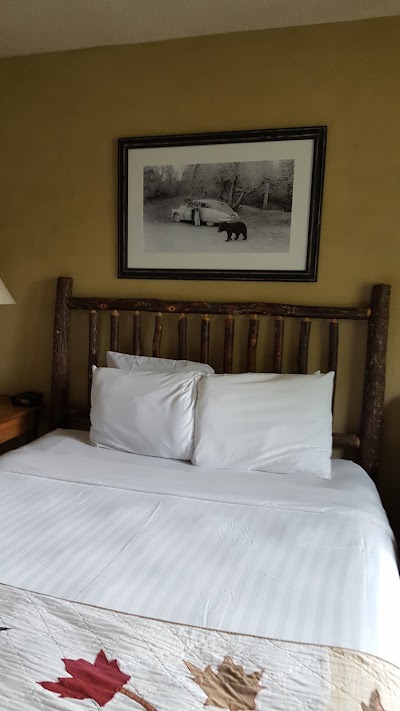 Photos of Oak Tree Lodge