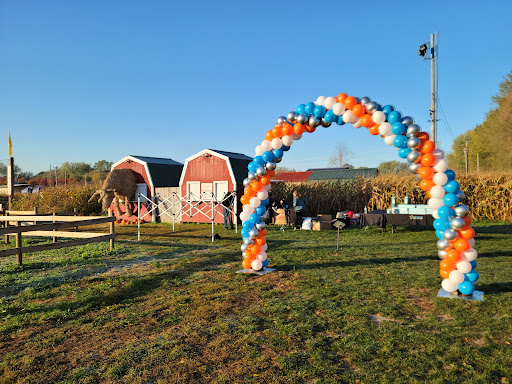 Sever's Corn Maze & Farm Market Gallery - United States